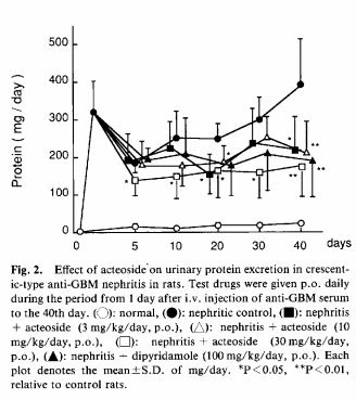 Effect of Acteoside in crescentic-type anti-GBM nephritis 