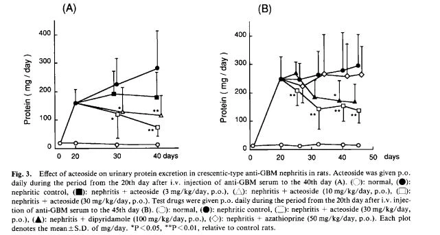 Effect of Acteoside in crescentic-type anti-GBM nephritis 
