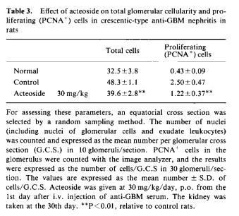 Effect of acteoside on total glomerular cellularity and pro liferating (PCNA+) cells in crescentic-type anti-GBM nephritis in  rats