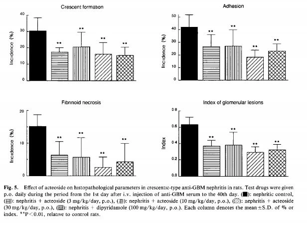 Nephritis