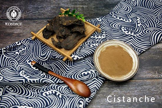 Cistanche can improve kidney function