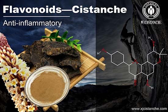 cistanche deserticola has Anti-inflammatory activity