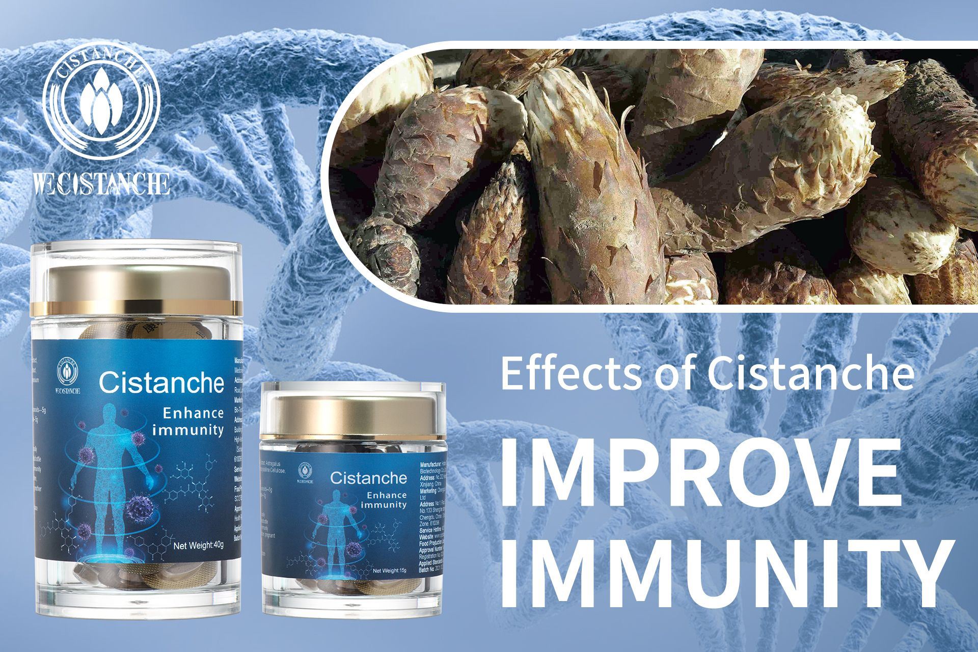 immunity improvement Cistanche tubulosa supplement 
