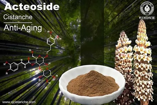 Cistanche has an anti-aging function