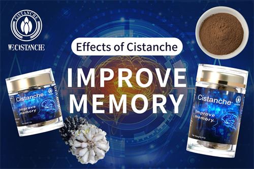 cistanche supplement cistanche supplement