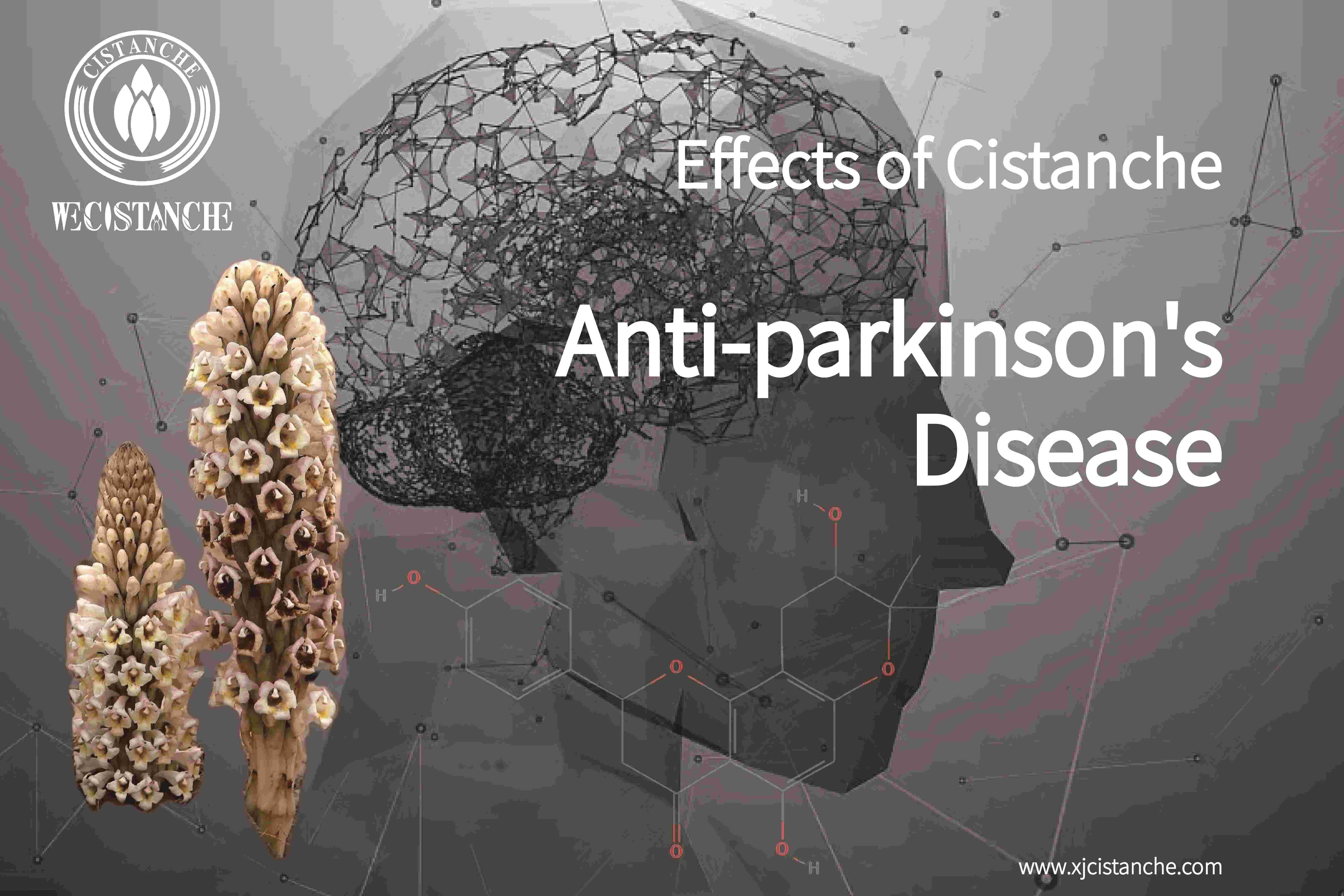 herb for parkinson's diease