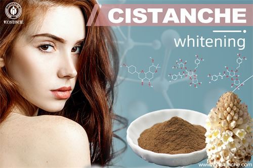 cistanche have the function of whitening skin