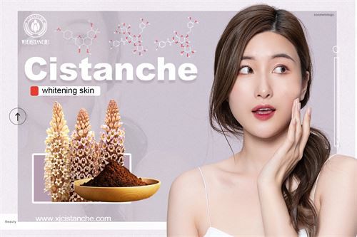 cistanche have the effects of whitening skin