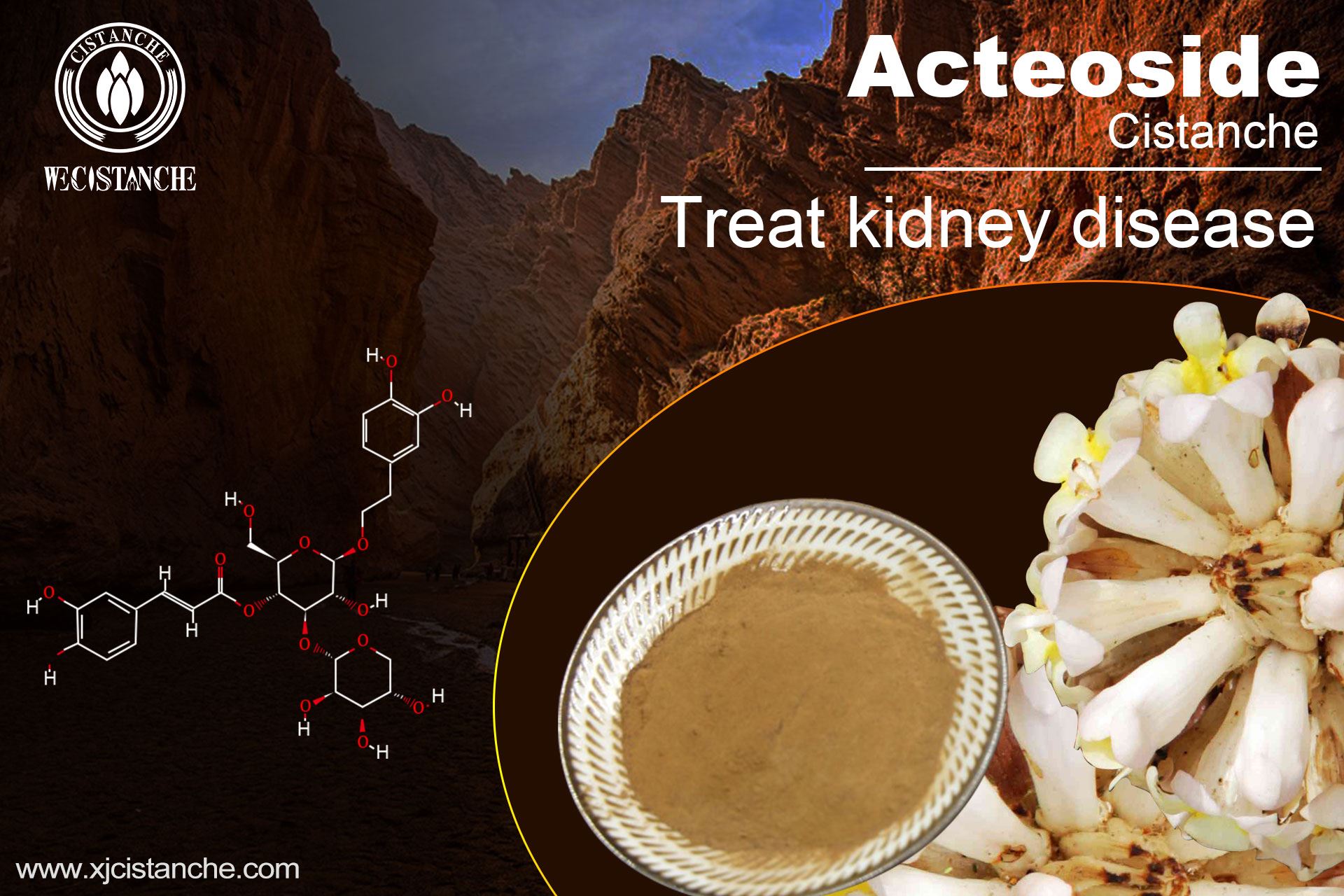 herb with acteoside