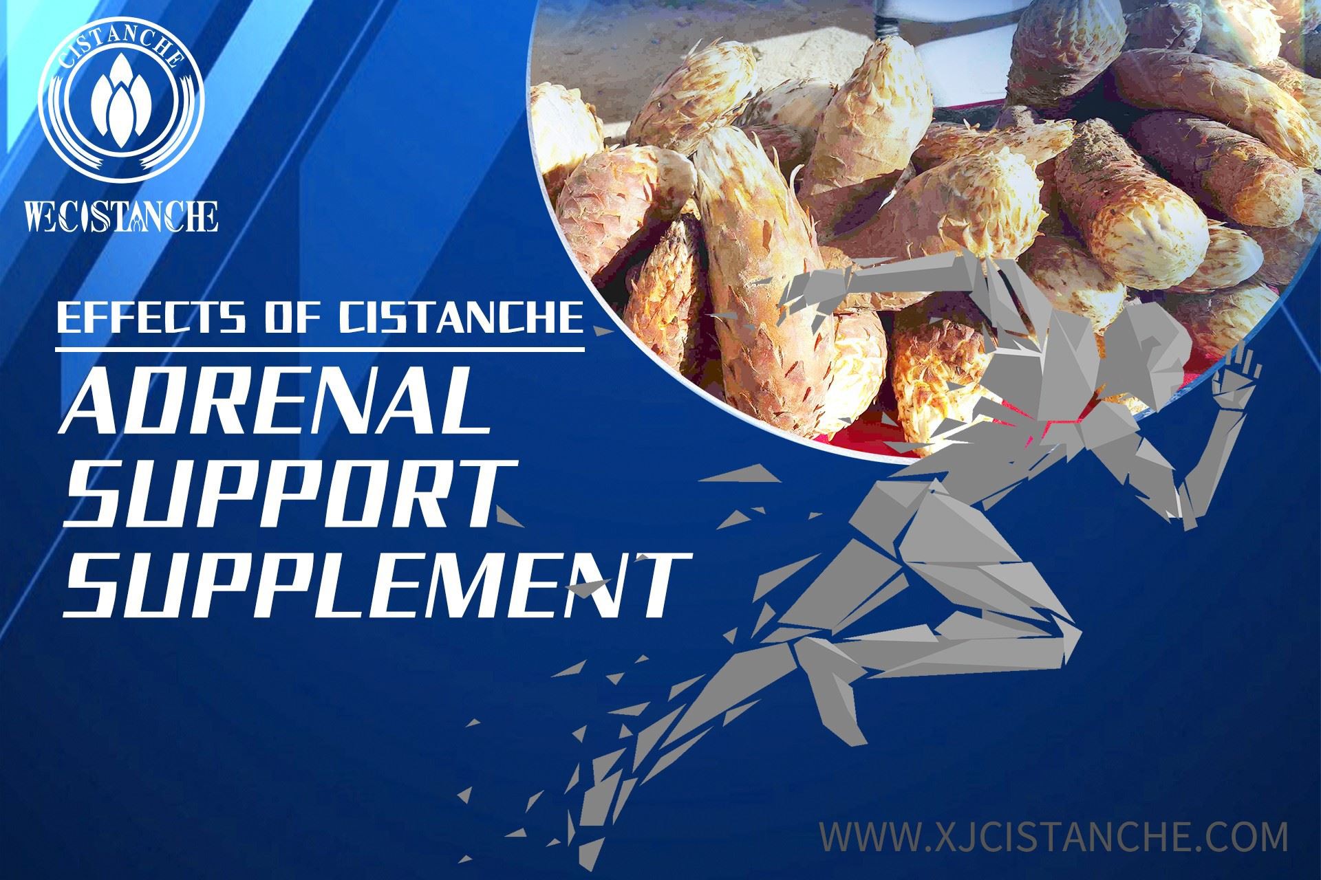 best herb for renal best herb for renal