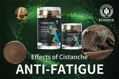CISTANCHE SUPPLEMENT