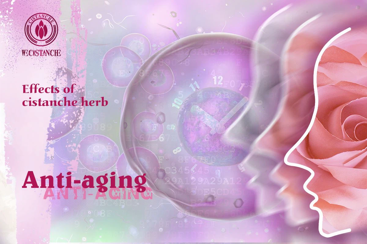 Anti-aging Anti-aging