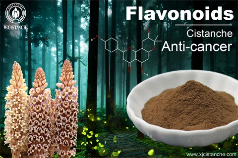 flavonoids supplements anti cancer flavonoids supplements anti cancer