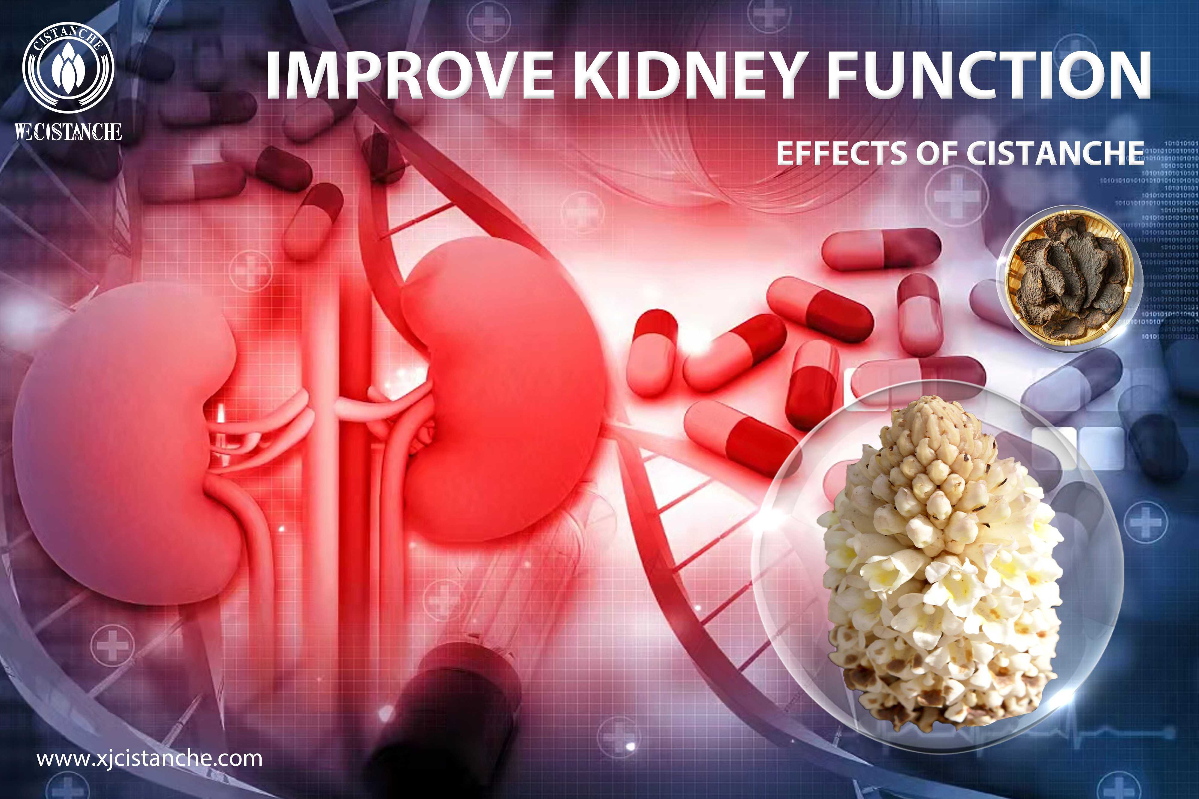 how to treat kidney disease how to treat kidney disease