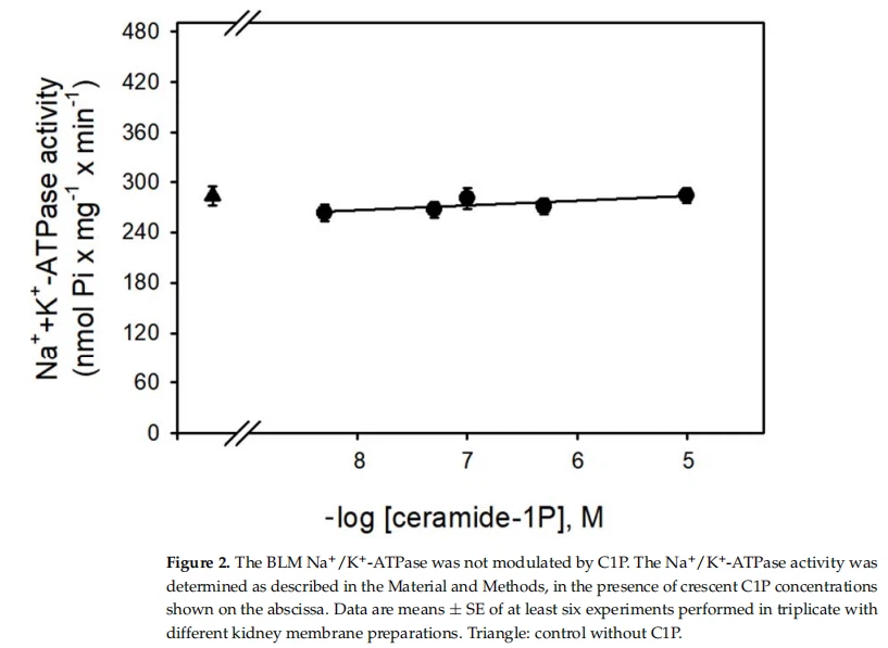 Figure 2.The BLM Nat/K+-ATPase was not modulated by C1P.The Nat/K*-ATPase activity was determined as described in the Material and Methods, in the presence of crescent C1P concentrations shown on the abscissa. Data are means ± SE of atleast six experiments performed in triplicate with different kidney membrane preparations. Triangle: control without ClP.
