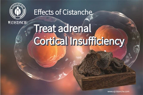 cistanche herb benefits