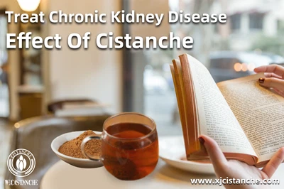 Cistanche benefits
