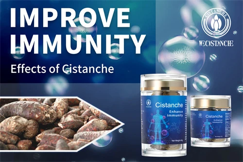 health benefits of cistanche