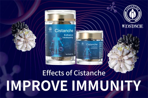 cistanche penis growth