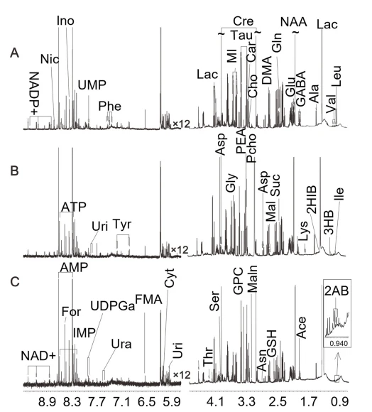 anti-oxidation herbs research