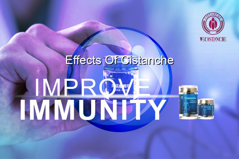 cistanche effects