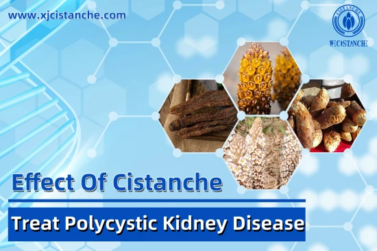 25% ECHINACOSIDE CISTANCHE FOR KIDNEY FUNCTION