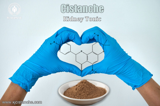  CISTANCHE FOR STAGE 4 KIDNEY DISEASE 