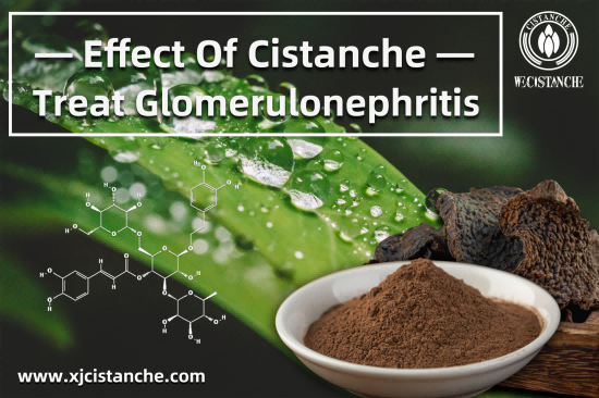  CISTANCHE FOR STAGE 4 KIDNEY DISEASE 