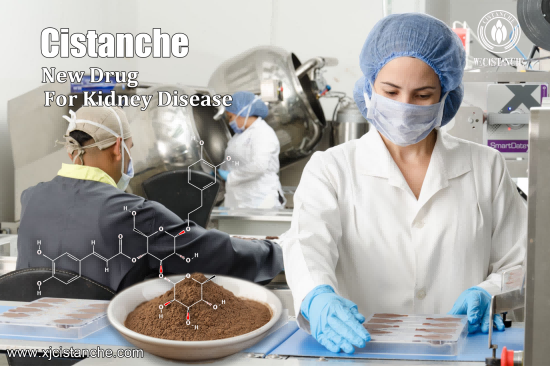 25% echinacoside and 9% acteoside cistanche for kidney