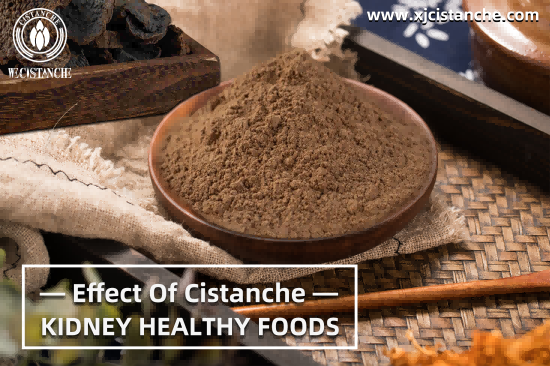  CISTANCHE EXTRACT WITH 25% ECHINACOSIDE AND 9% ACTEOSIDE FOR KIDNEY