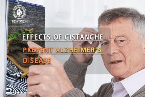 improve memory