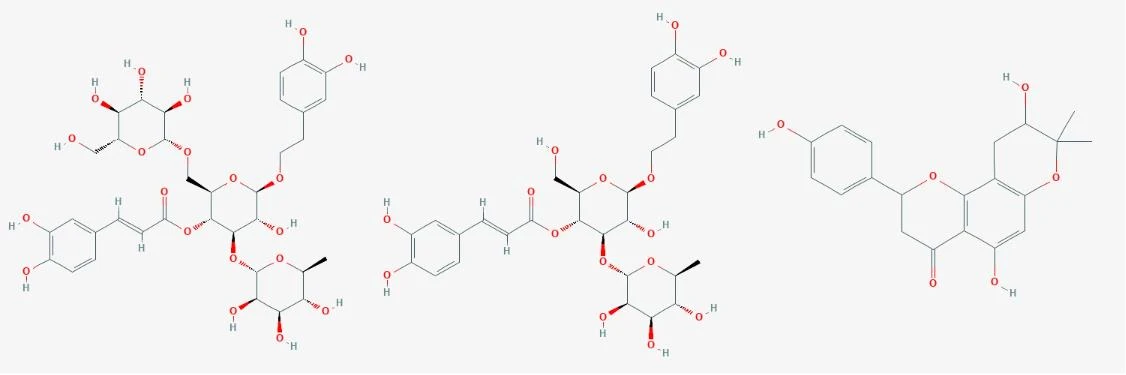 ORGANIC CISTANCHE EXTRACT WITH 30% ECHINACOSIDE AND 12% ACTEOSIDE ORGANIC CISTANCHE EXTRACT WITH 30% ECHINACOSIDE AND 12% ACTEOSIDE