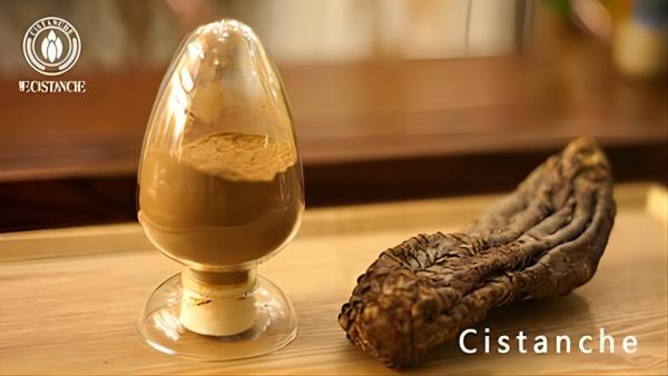 Cistanche Raw material Cistanche Raw material