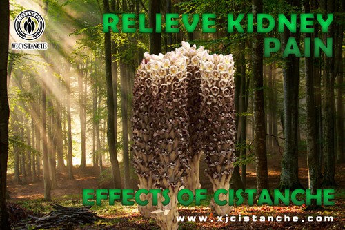relieve kidney pain