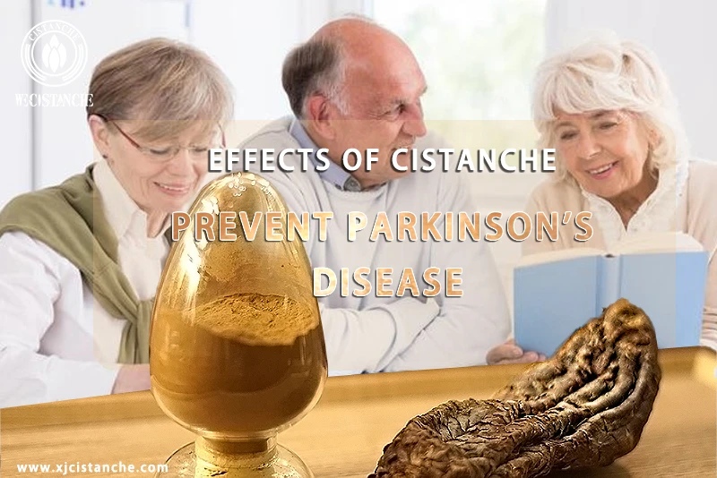 Cistanche tubulosa for preventing PARKINSON'S DISEASE